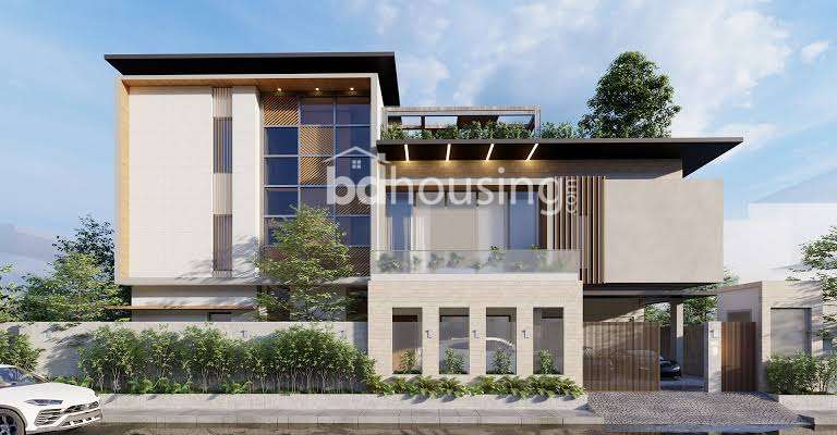 Big flat for sale, Apartment/Flats at Adabor