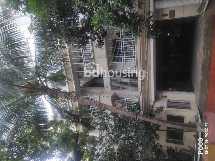 Dipti, Apartment/Flats at Dhanmondi