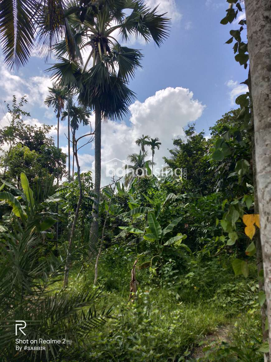 Sabbir, Commercial Plot at Khan Jahan Ali