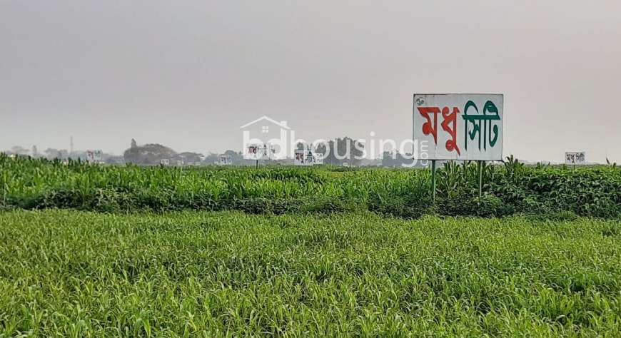 মধুসিটি , Residential Plot at Basila