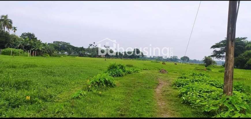 Industrial Plot, Commercial Plot at sadar