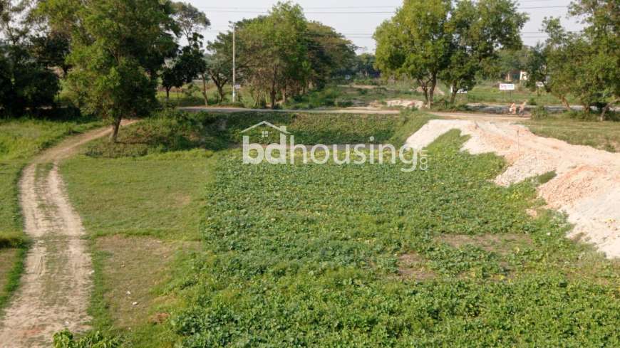 মধুসিটি , Residential Plot at Basila