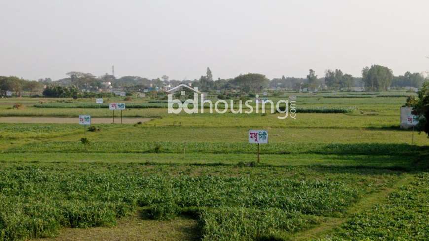 মধুসিটি , Residential Plot at Basila