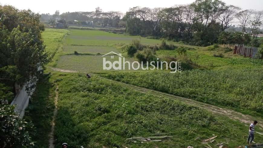 মধুসিটি , Residential Plot at Basila