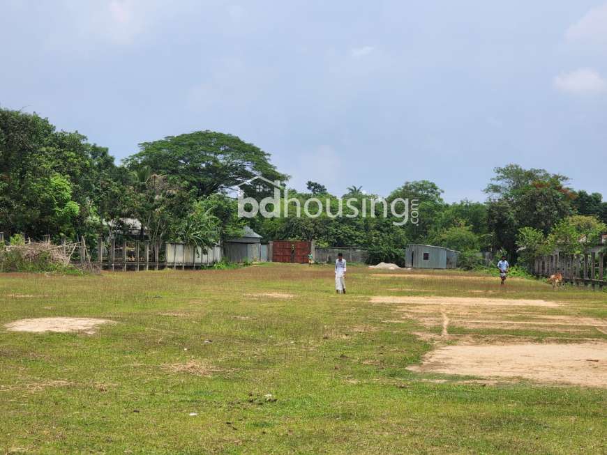 Valuka, Commercial Plot at sadar