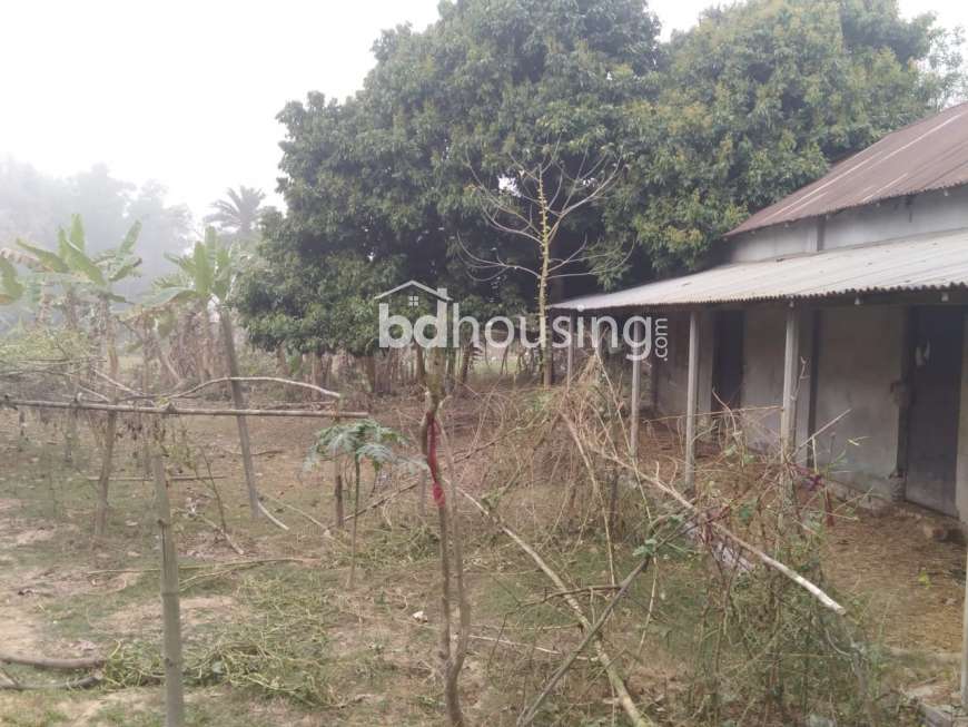 Urgent Land Sell @ Gazipur Union, Sheepur, Residential Plot at Gazipur Sadar