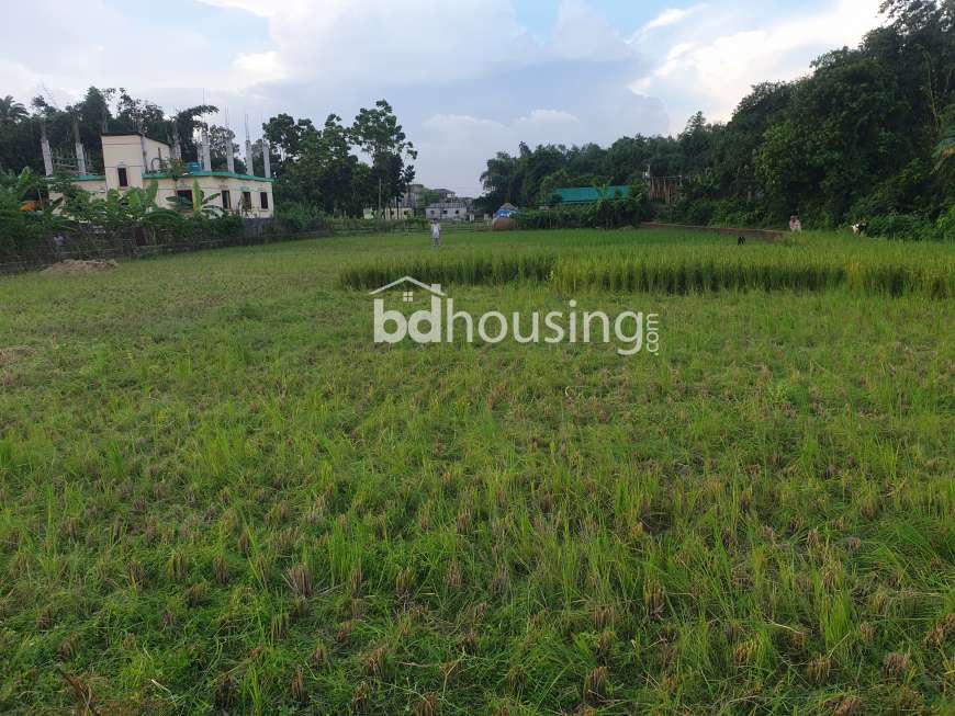 Nandura (31 decimal), Commercial Plot at Ashulia