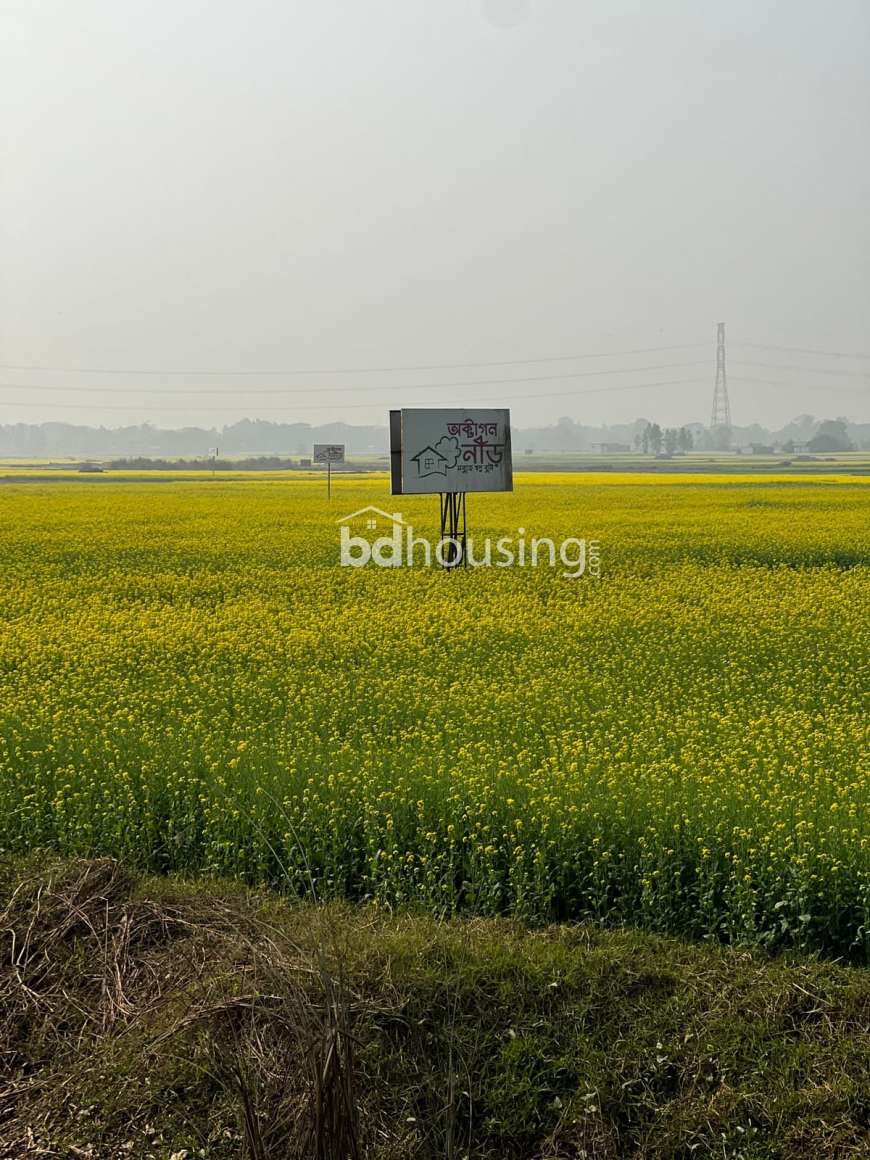 Octagon neer, Residential Plot at Keraniganj