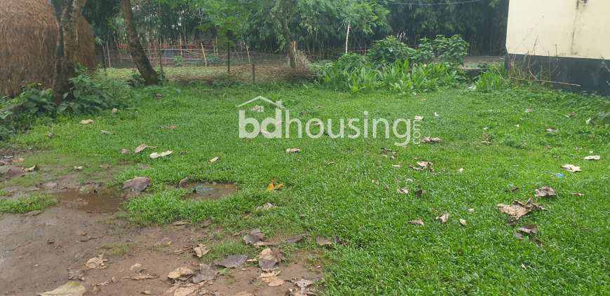 land for sale 6 decimal by 14ft road, Residential Plot at Ashulia