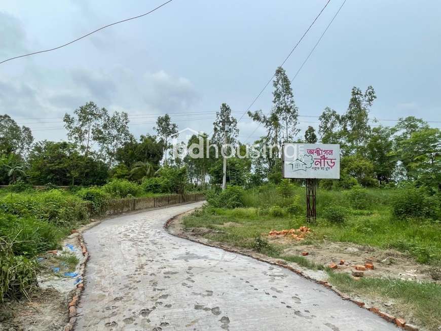 Octagon Neer, Residential Plot at Sirajdikhan