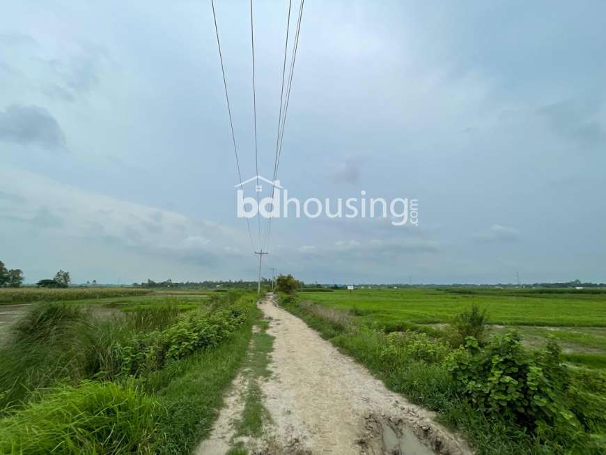 Octagon Neer, Residential Plot at Sirajdikhan