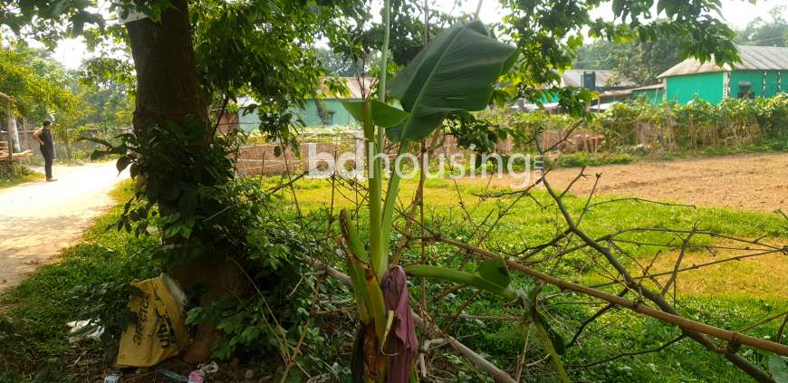 land for sale by road 166 decimal, Commercial Plot at Konabari