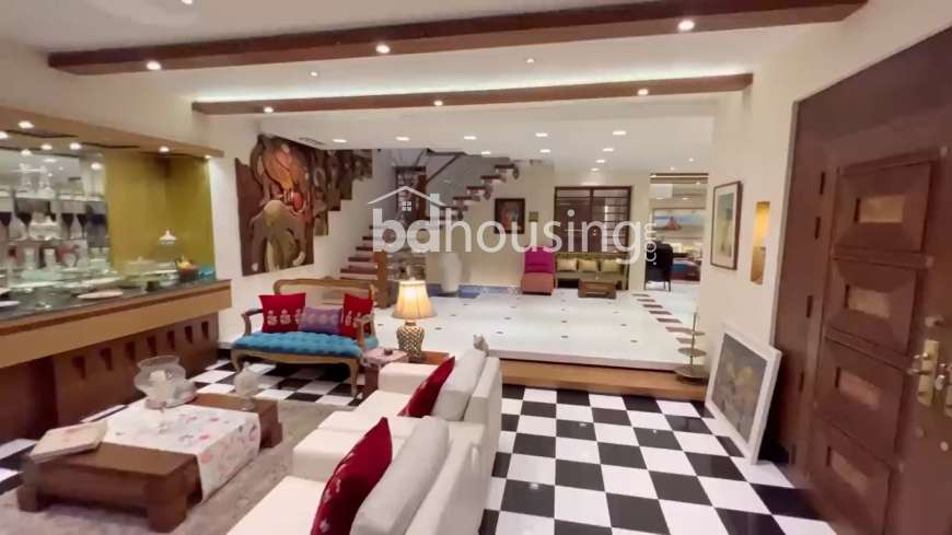 4271sft. Luxurious Duplex Flat, Apartment/Flats at Mohammadpur