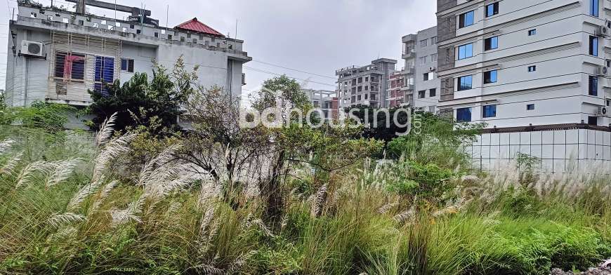 South Facing 3 Katha Ready Plot, Residential Plot at Bashundhara R/A