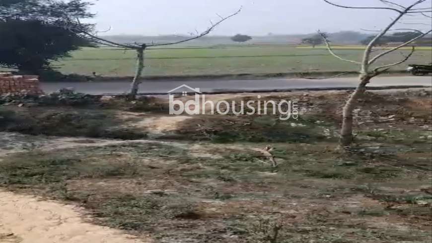 100 Bigha Farm Land and 24.5 Bugha Pond For Sell in Rajshahi Godagari, Agriculture/Farm Land at Sagor Para