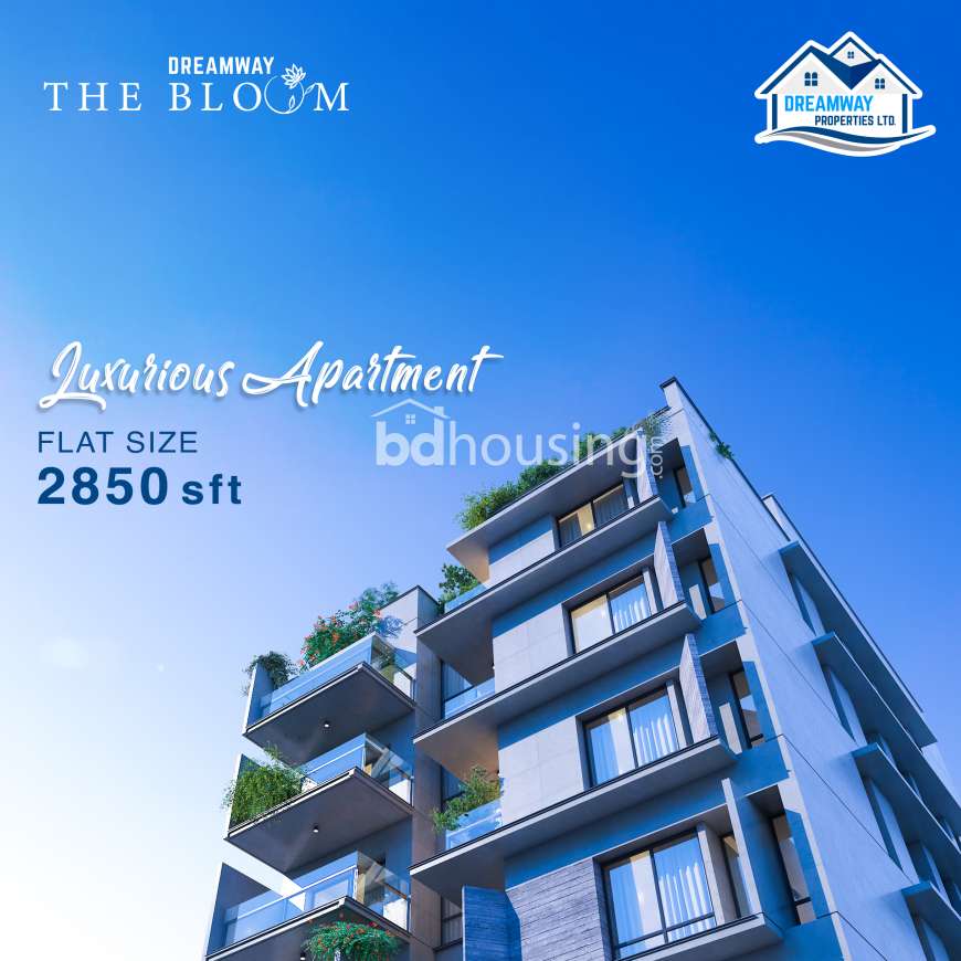 Dreamway The Bloom, Apartment/Flats at Jolshiri Abason