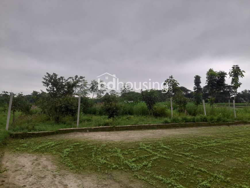 Touhid Ahmed, Residential Plot at Keraniganj