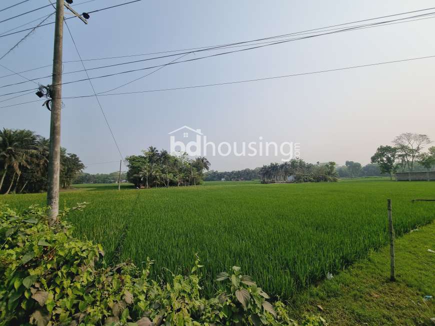 57.75 Decimal industrial land , Residential Plot at Khan Jahan Ali