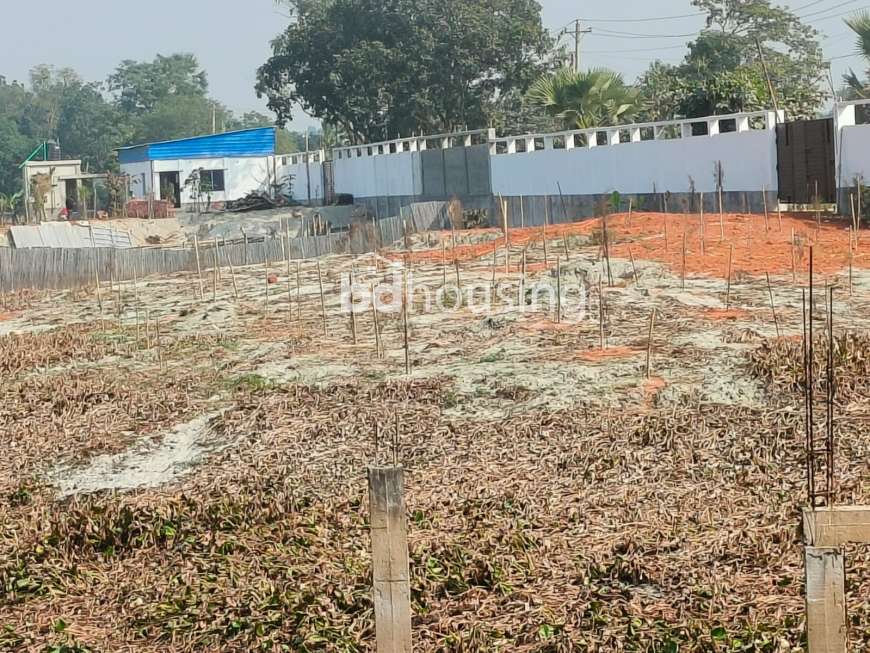 Pine City, Residential Plot at Purbachal