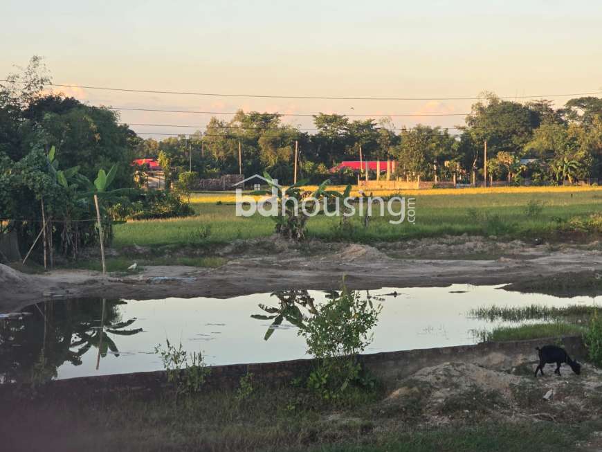 Commerical, Resort space, Storage development land and industrial purpose land for sale!, Commercial Plot at Bimanbondor