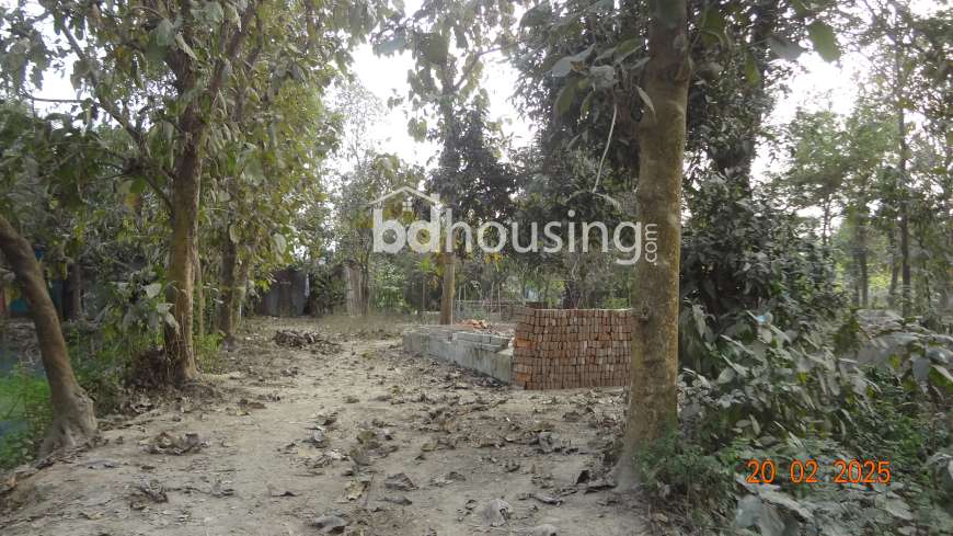 Land, Commercial Plot at Narayangonj Sadar