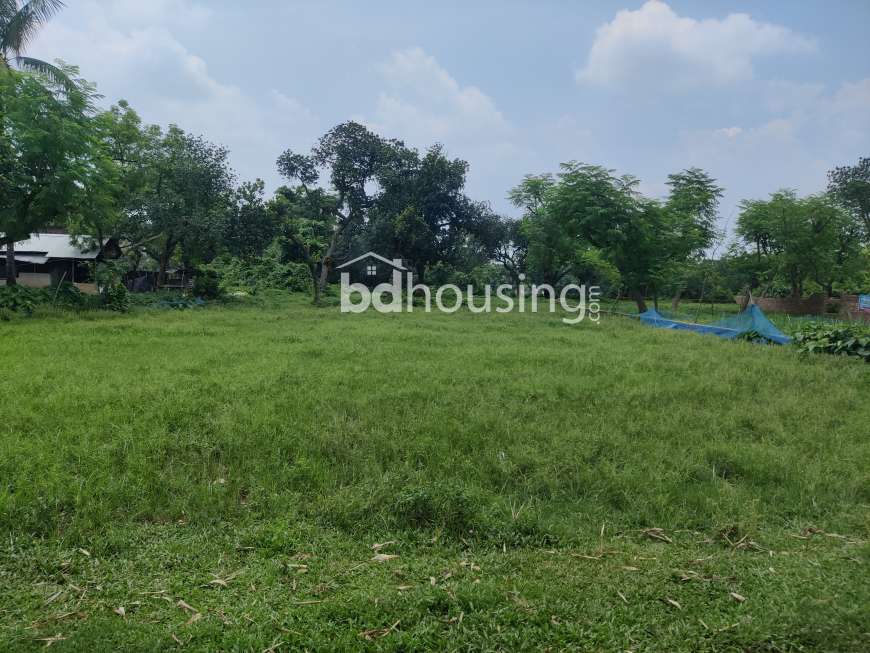 Sadhapur, Residential Plot at Savar