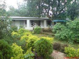 আমার নিজের জমি বিক্রি করতে চাই। মোট জমির পরিমাণ ৭৩ সোতাংশ। এটি একটি বাংলো তৈরি বা বাণিজ্যিক উদ্দেশ্যেও ব্যবহার করা যেতে পারে।অবস্থানটি গাজীপুর, শ্রীপুর, কাওরাইদ ইউনিয়ন, কাওরাইদ ট্রেন স্টেশনের কাছে।জমির কাগজপত্র হালনাগাদ করা।, Hotel and Resort at Kaliakoir