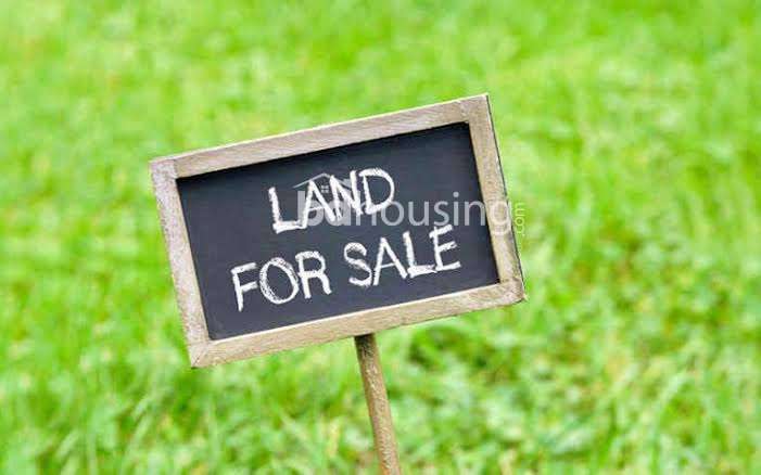 প্রাইভেট প্রপার্টি , Residential Plot at Hemayetpur