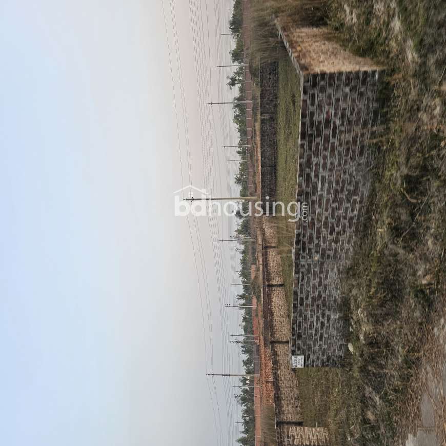 Block - M, Residential Plot at Bashundhara R/A