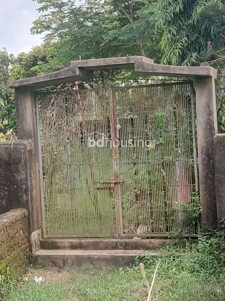 NA, Commercial Plot at test