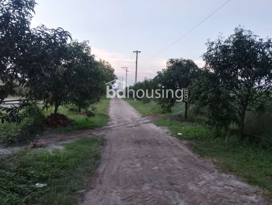 Modhu City, Residential Plot at Mohammadpur