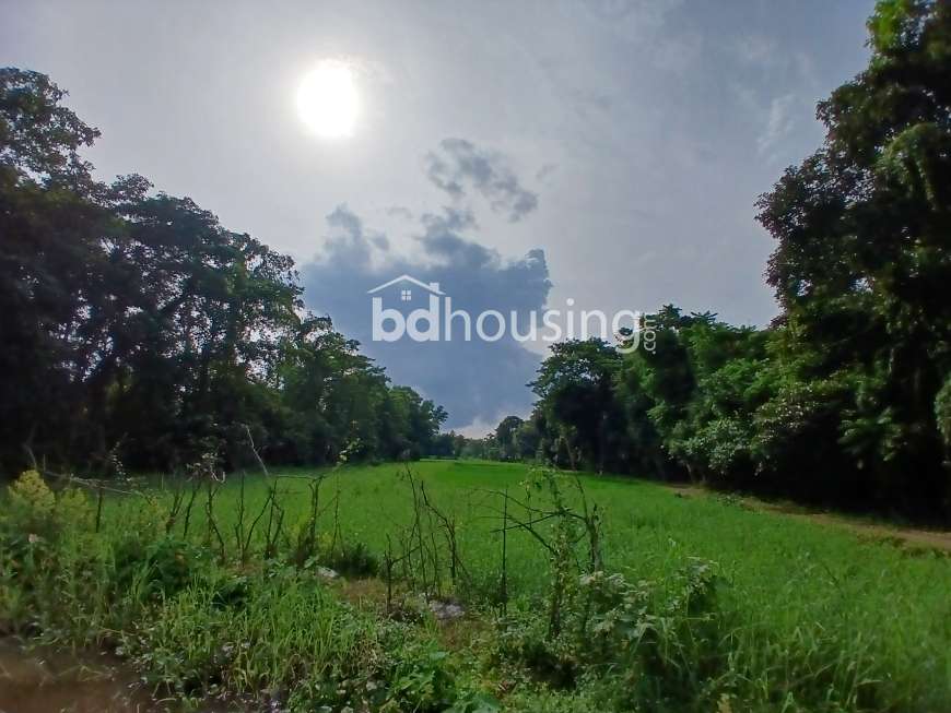 60 decimal land sale, Agriculture/Farm Land at Rashid Chattar