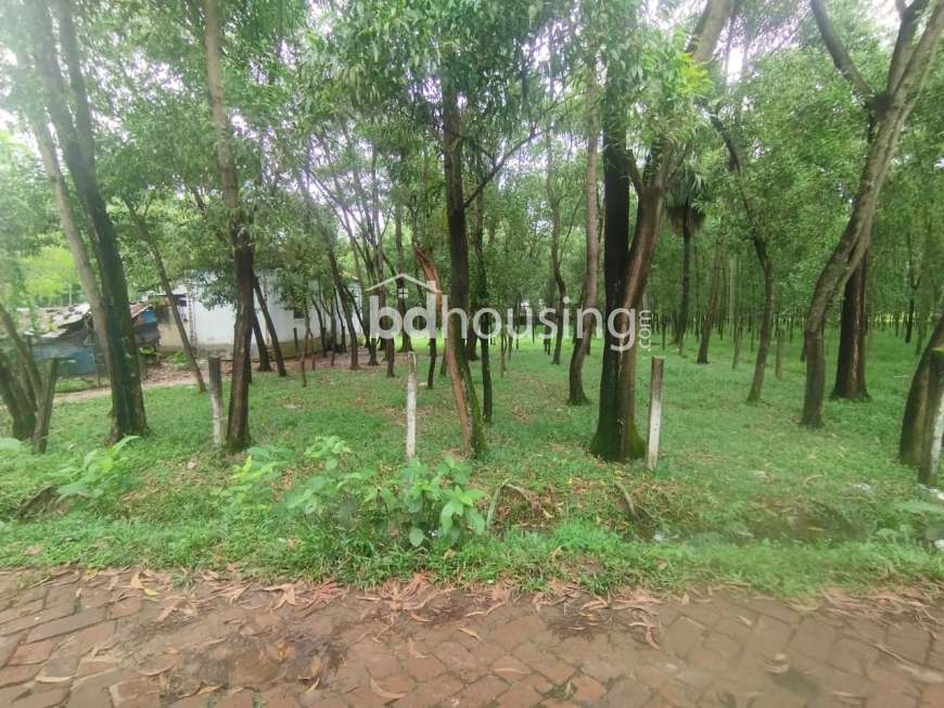 No name, Residential Plot at Gazipur Sadar