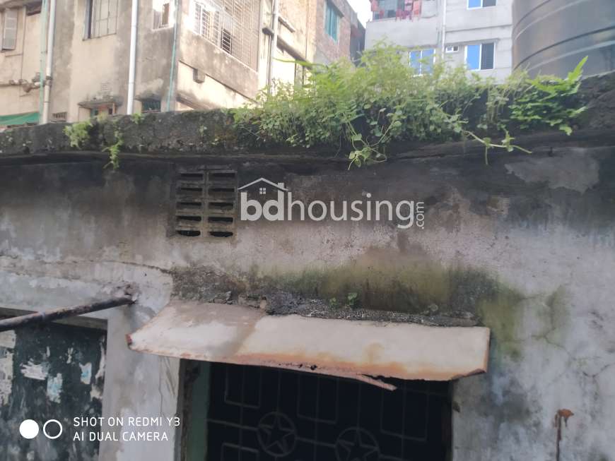 Rehana, Independent House at Jatrabari