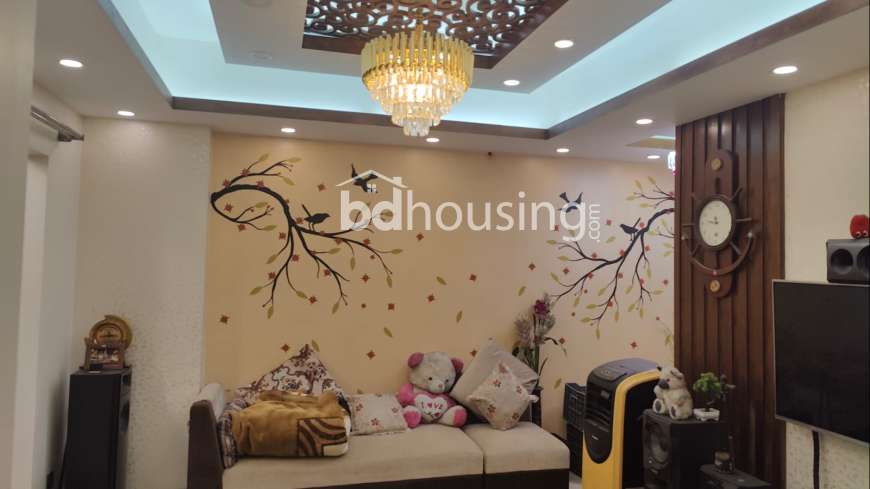 Apartment , Apartment/Flats at Banasree
