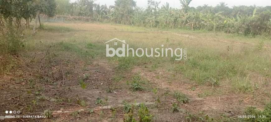 Dhaka Village, Residential Plot at Jolshiri Abason
