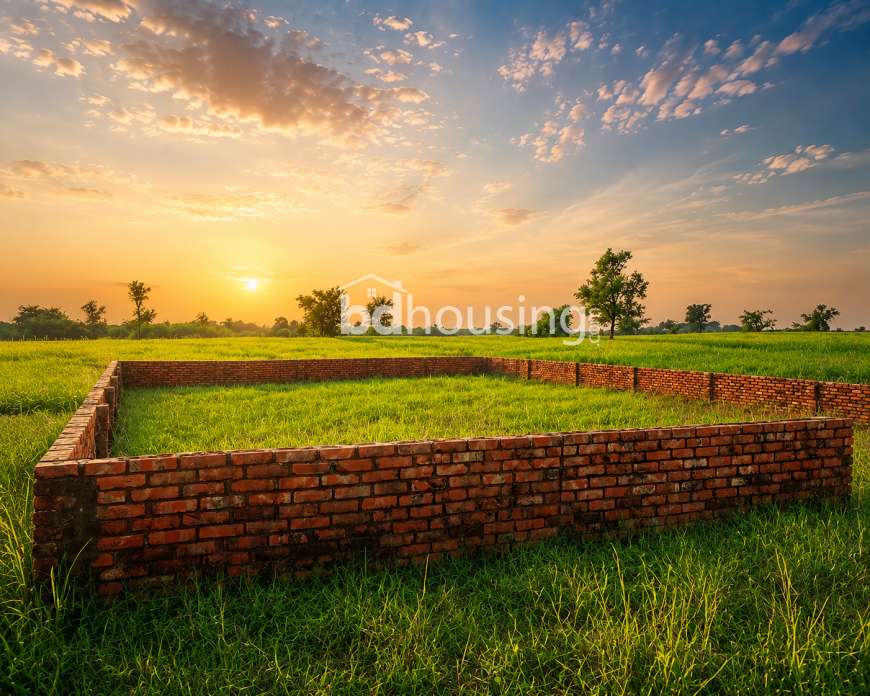 P Extension - Block, Residential Plot at Bashundhara R/A