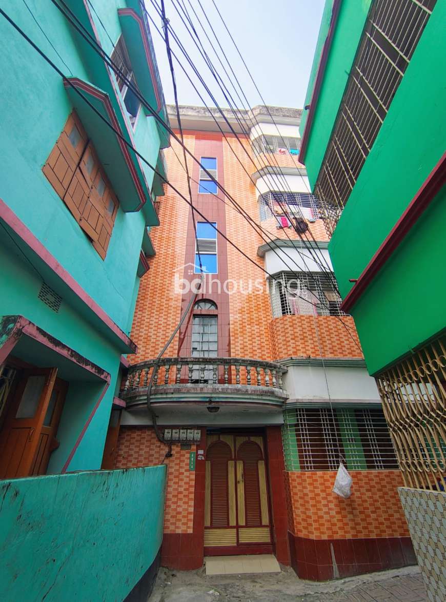 Saifullah building, Independent House at Padma Residential Area