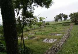 Redeem Purbachal City Residential Plot at Purbachal