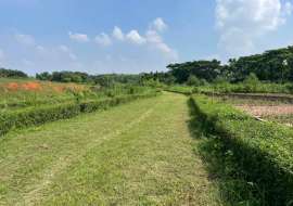 Krishibid Valley  Residential Plot at Savar, Dhaka