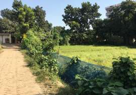 16 katha, Ready  Commercial Plot for Sale at Savar!! Commercial Plot at 