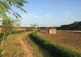 Krishibid Valley  Residential Plot at Savar, Dhaka