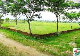 5 katha, Ready  Residential Plot for Sale at Basila Residential Plot at 