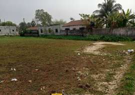 3 katha, Used  Agriculture/Farm Land for Sale at Gazipur Sadar Agriculture/Farm Land at 