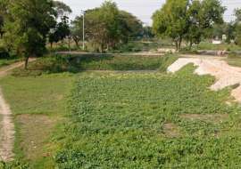 Mohdu City Residential Plot at Basila, Dhaka