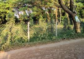 1000 katha, Ready  Agriculture/Farm Land for Sale at Gazipur Sadar Agriculture/Farm Land at 