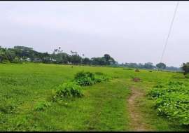 615 katha, Industrial Plot for Sale at Gouripur, Mymensingh Commercial Plot at 