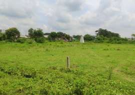 5 katha, Ready  Residential Plot for Sale at Purbachal Residential Plot at 