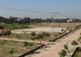 5 katha, Ready  Residential Plot for Sale at Basila Residential Plot at 