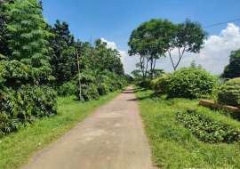 5 katha, Ready  Residential Plot for Sale at Savar Residential Plot at 